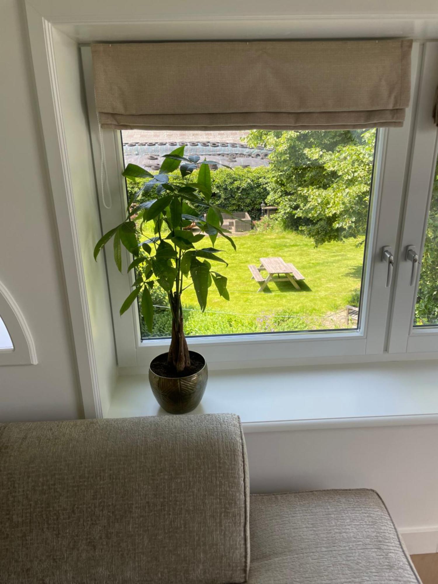 Zuidermeer De Zuiderstolp B&B 외부 사진